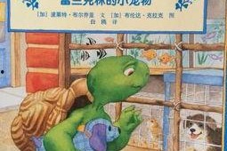 绘本故事视频,奇妙的冒险之旅