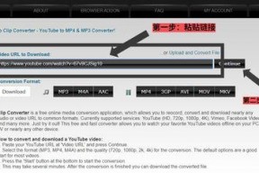 youtube视频下载工具,使用热门下载工具的简易指南
