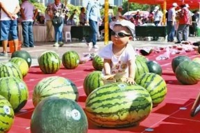 每日大赛吃瓜入口,吃瓜群众狂欢入口揭秘