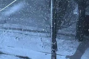 下雪视频,冬日雪景视频赏析