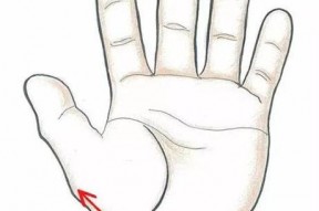 腹部按摩手法视频,轻松掌握健康养生秘诀